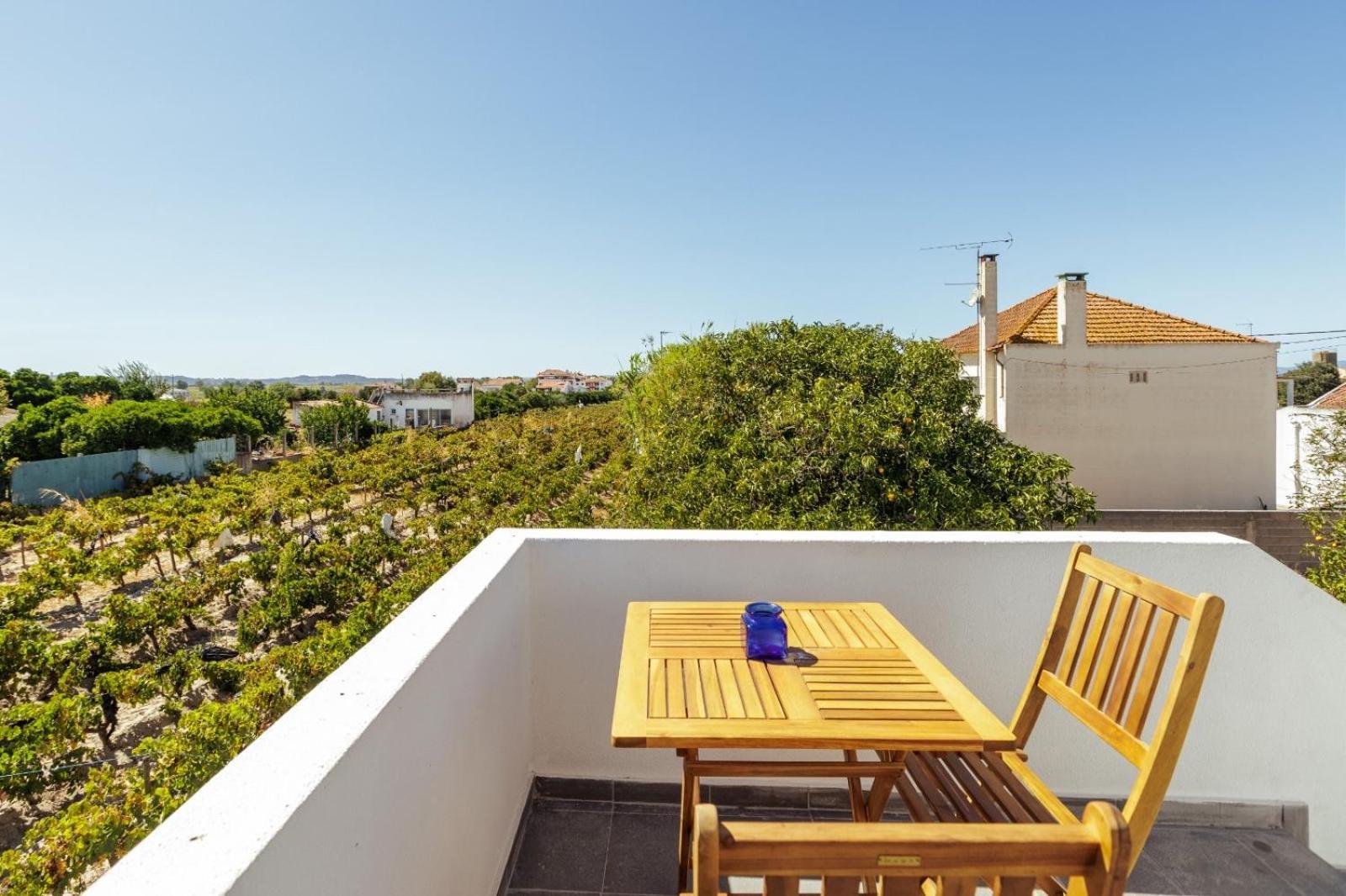 Pinheirinha Guest House Alpiarça Kültér fotó